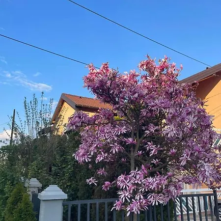 Apartman- Szarajevó