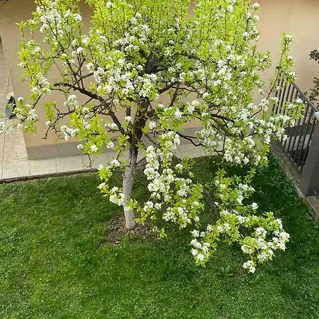 Apartman- *