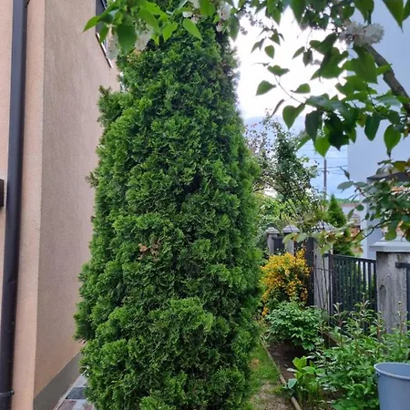 Apartman- *